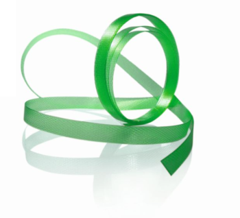 PET Strapping PET Application